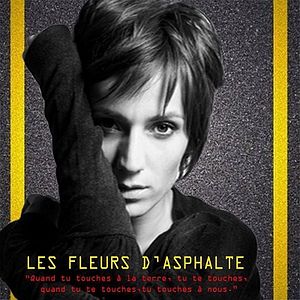 Bilder Asfalt Çiçekleri