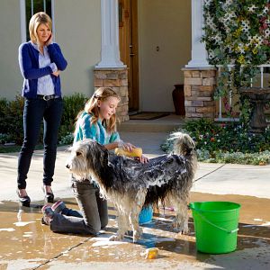 Bilder Alle lieben Jake