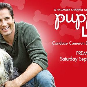 Bilder Alle lieben Jake