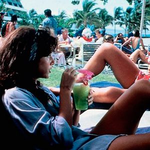 Bilder Die schwarze Witwe