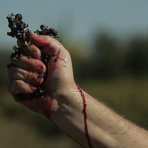 Bilder Von Trauben und Menschen