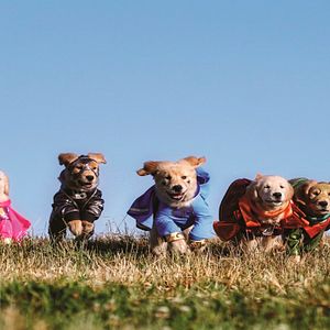 Bilder Super Buddies