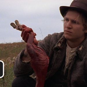 Bilder In schlechter Gesellschaft