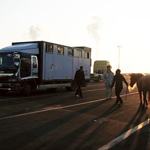 Bilder The Horses of Fukushima