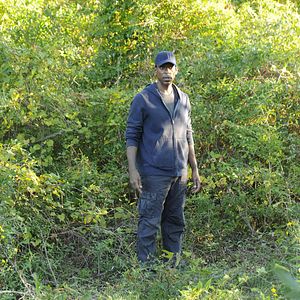 Bilder Orlando Jones