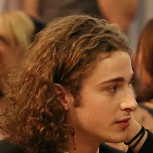 Bilder Guglielmo Pinelli