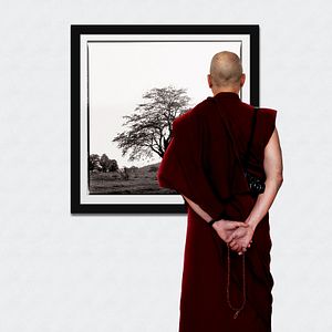 Bilder Monk with a Camera