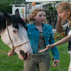 Bilder Ein Pferd für Moondance