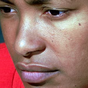 Bilder Ciomara Morais