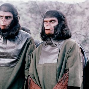 Bilder Die Schlacht um den Planet der Affen