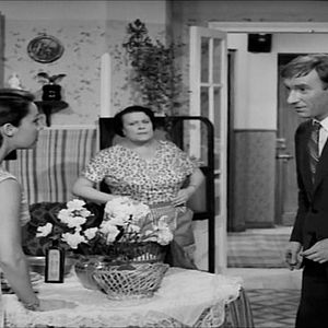 Bilder Bombas para la paz