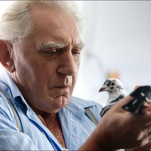 Bilder Fliegende Herzen