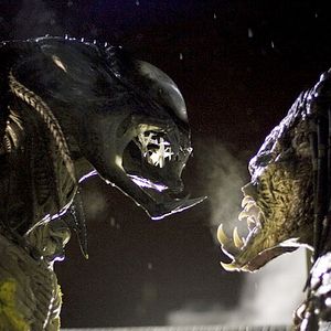 Bilder Arctic Predator - Der weiße Tod