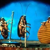 Bilder Joes Apartment