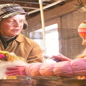 Bilder Der Weihnachtshase