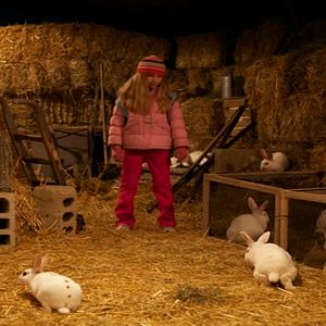 Bilder Der Weihnachtshase