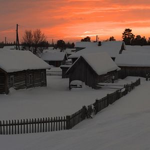 Bilder Die Hüter der Tundra