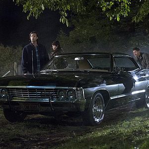 Bilder Briana Buckmaster