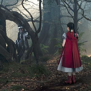 Bilder Into The Woods