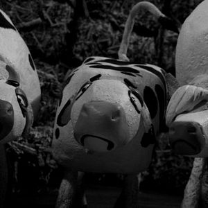 Bilder The Wanted 18