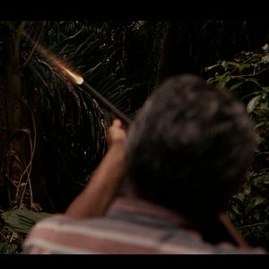 Bilder Tierra En la Lengua