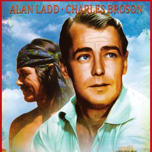 Bilder Der einsame Adler