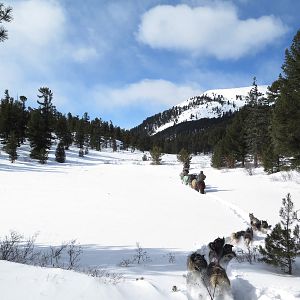 Bilder L'Odyssée Sauvage