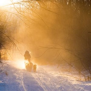 Bilder L'Odyssée Sauvage