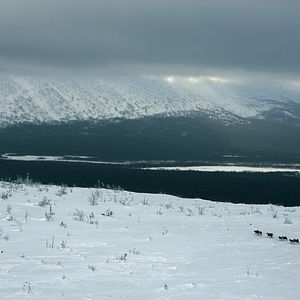 Bilder L'Odyssée Sauvage
