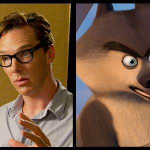 Bilder Die Pinguine aus Madagascar