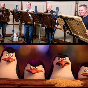 Bilder Die Pinguine aus Madagascar