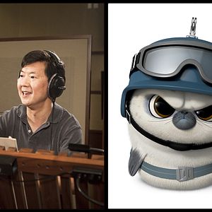 Bilder Die Pinguine aus Madagascar