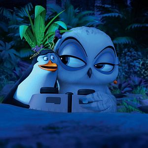 Bilder Die Pinguine aus Madagascar