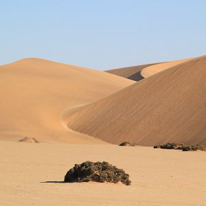 Bilder African Safari 3D