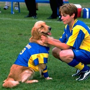 Bilder Air Bud 3 - Ein Hund für alle Bälle