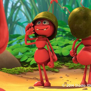 Bilder Die Biene Maja - Der Kinofilm