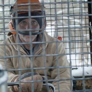 Bilder Bob and the Trees