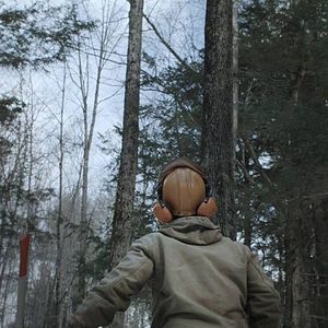 Bilder Bob and the Trees