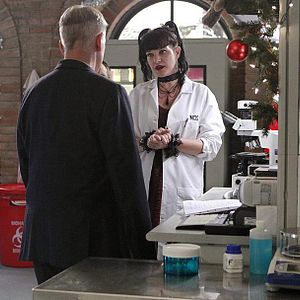Bilder Pauley Perrette