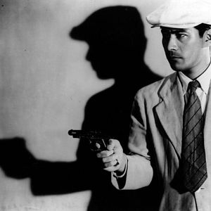 Bilder Ein herrenloser Hund