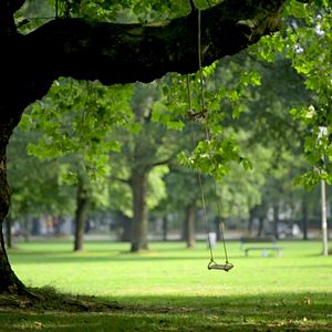 Bilder Esse Viver Ninguém Me Tira