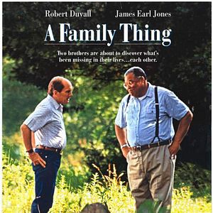 Bilder Brüder wider Willen