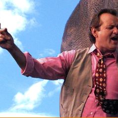 Bilder Die dicke Vera