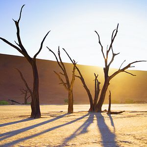 Bilder Afrika - Das magische Königreich