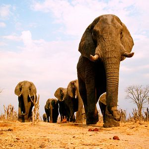 Bilder Afrika - Das magische Königreich