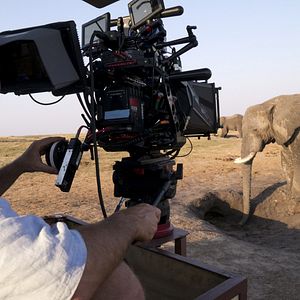 Bilder Afrika - Das magische Königreich