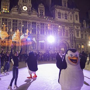 Bilder Die Pinguine aus Madagascar