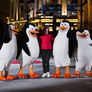 Bilder Die Pinguine aus Madagascar