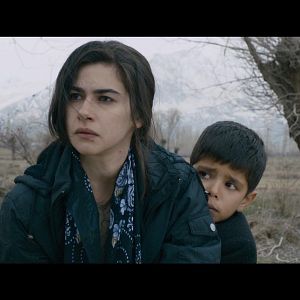 Bilder Kuzu - The Lamb