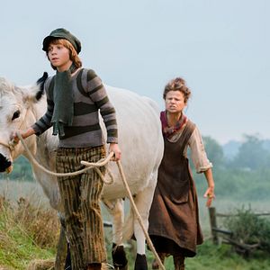 Bilder Into The Woods